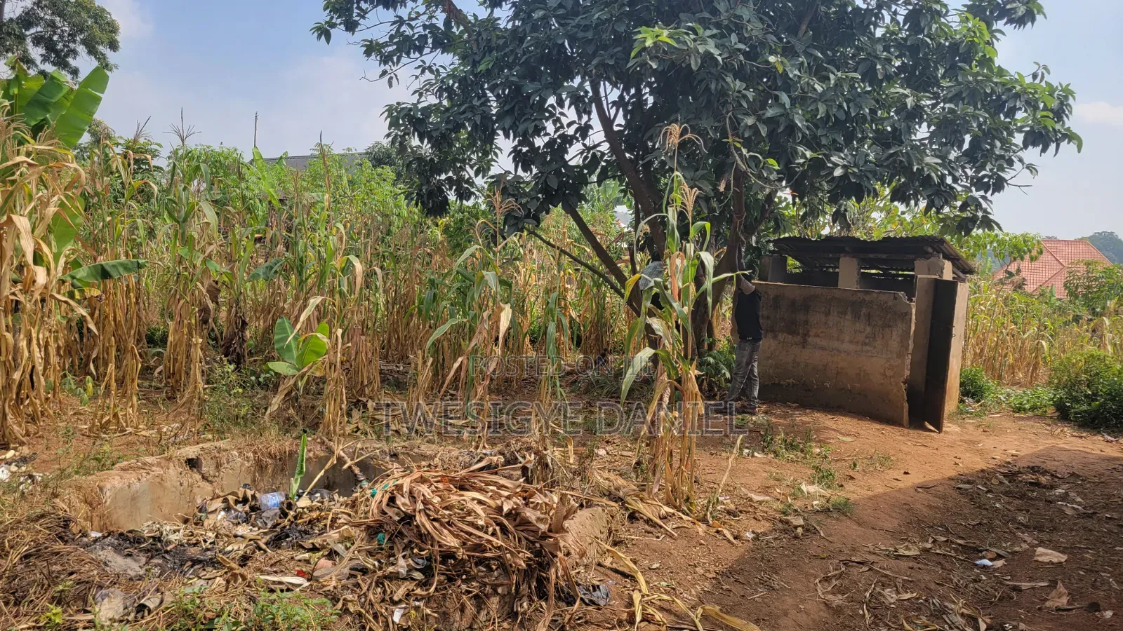 Plot for Sale in Mwera Town Council