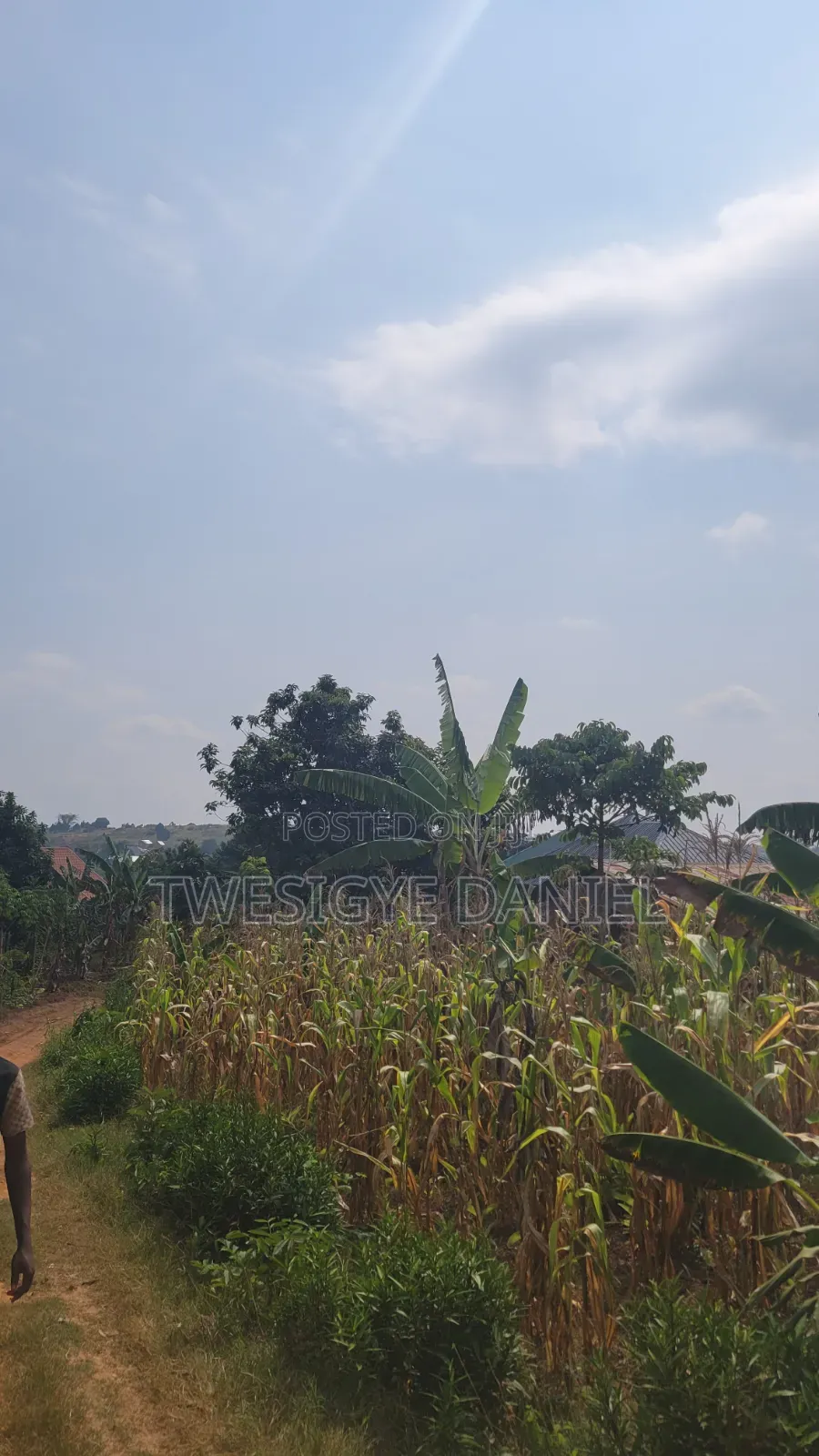 Plot for Sale in Mwera Town Council