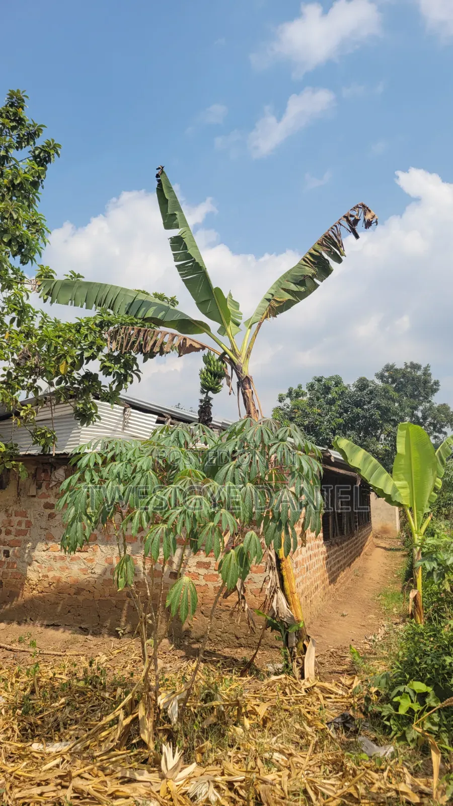 Half Acre Plot for Sale in Mwera Town Council