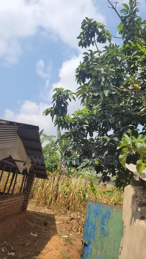Half Acre Plot for Sale in Mwera Town Council