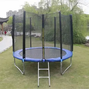 Trampoline With a Safety Enclosure Net and Access Ladder.