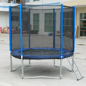 Trampoline With a Safety Enclosure Net and Access Ladder.