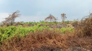 49 Acres in Gayaza Busika, Janda Village at 18M Per Acre