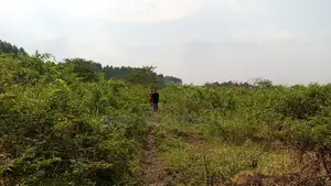 49 Acres in Gayaza Busika, Janda Village at 18M Per Acre