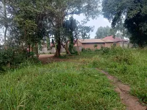49 Acres in Gayaza Busika, Janda Village at 18M Per Acre