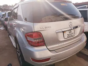 Toyota Land Cruiser 2009 Silver