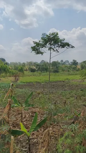 Land for Sale – Nazigo, Kayunga–jinja Road
