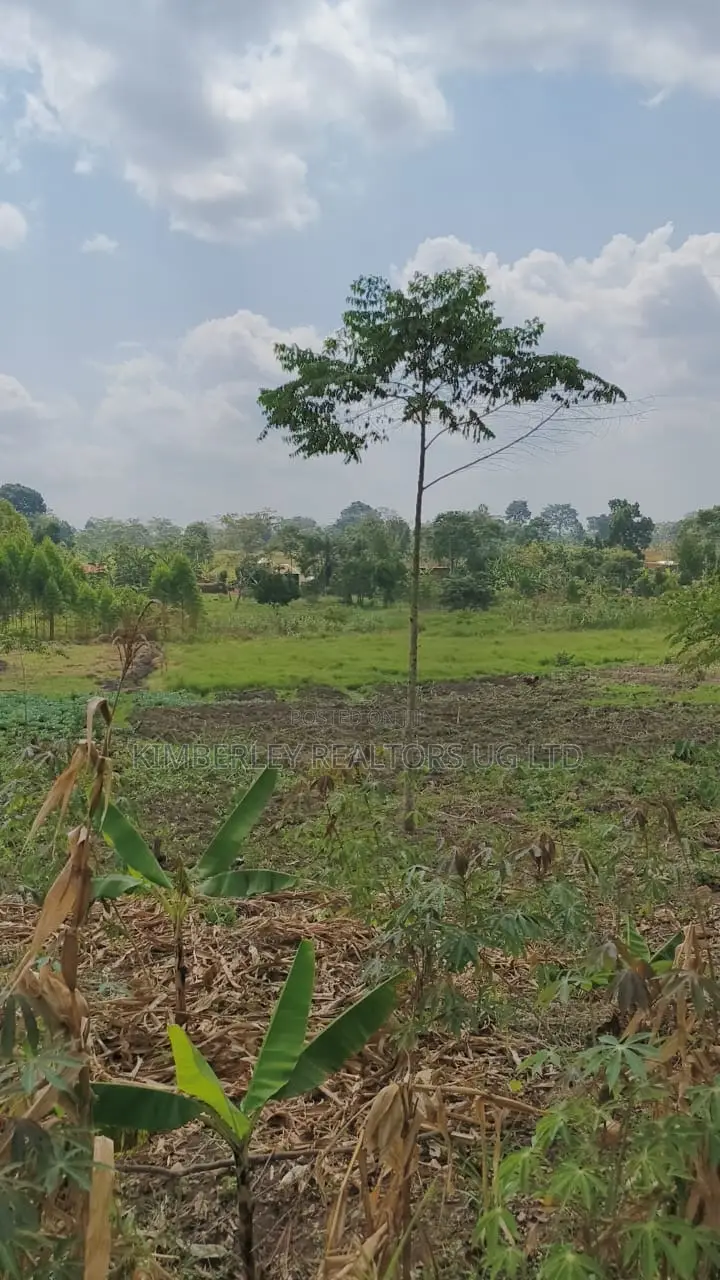 Land for Sale – Nazigo, Kayunga–jinja Road