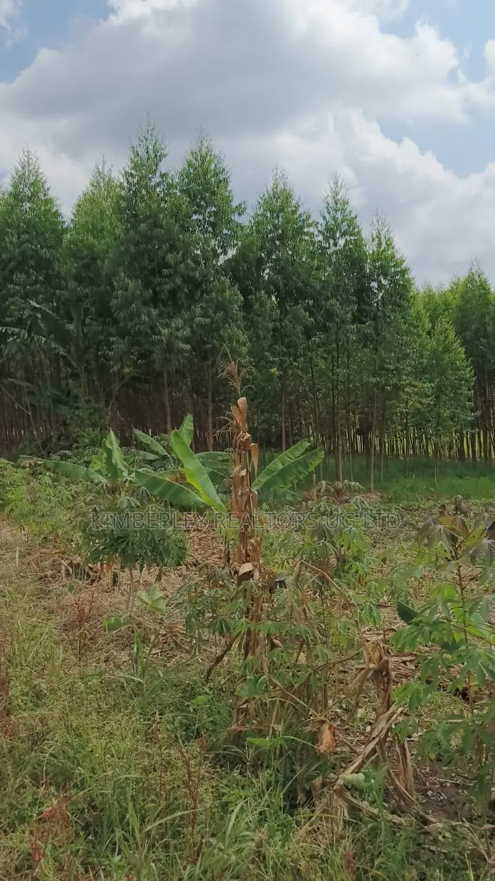 Land for Sale – Nazigo, Kayunga–jinja Road