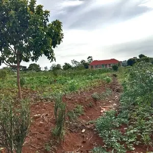 Residential Plot for Sale – Kyanja