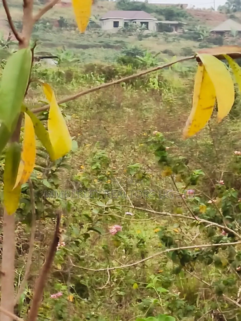 Land for Sale – Namugongo, Nkonzi Estate