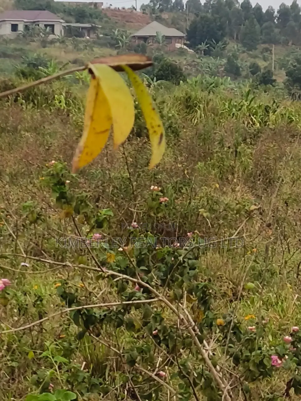Land for Sale – Namugongo, Nkonzi Estate