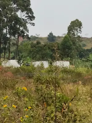 Quick Sale – Prime Plots for Sale, Mbalala