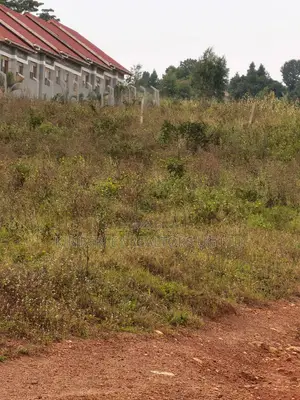 Plots for Sale – Wakiso Nkoowe, Bulababakulu