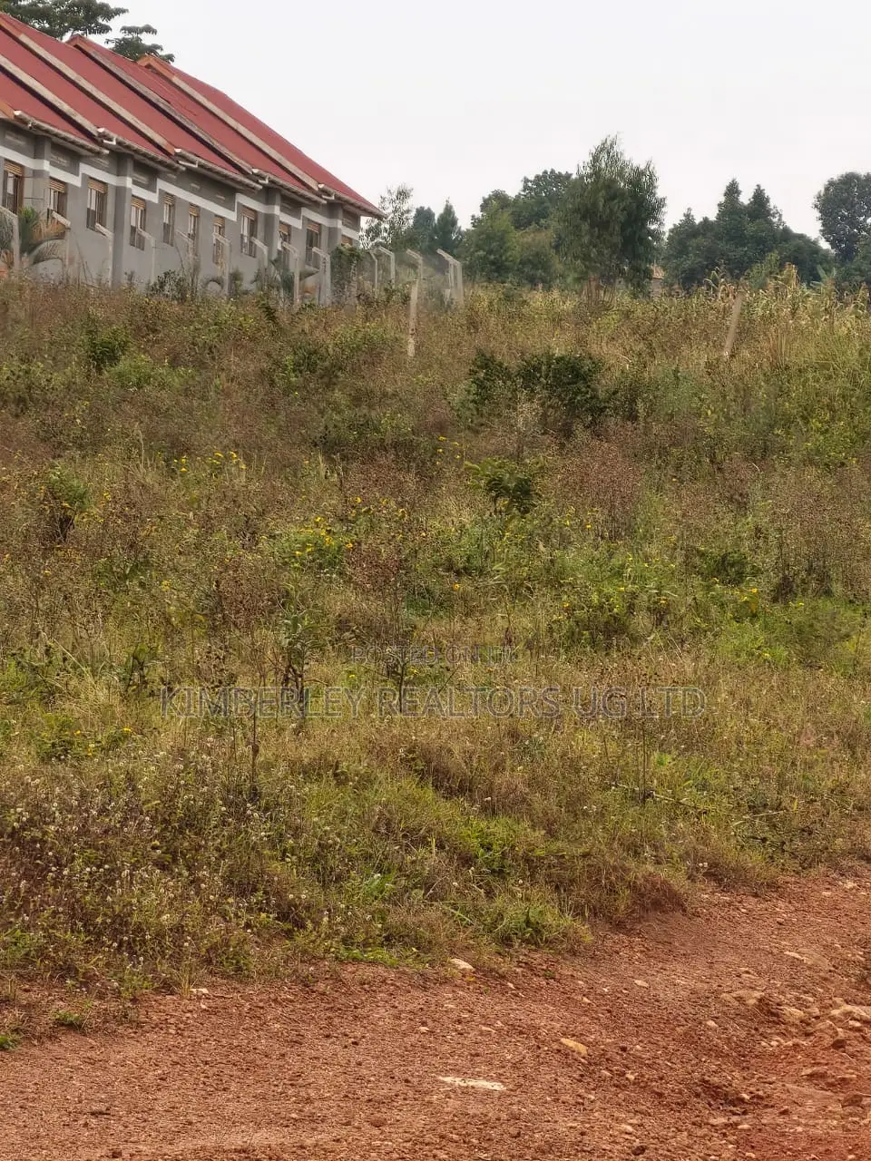 Plots for Sale – Wakiso Nkoowe, Bulababakulu