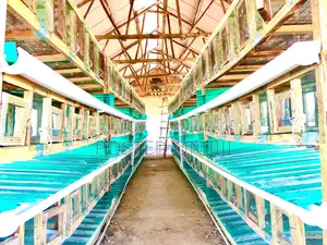 Rabbit Cages