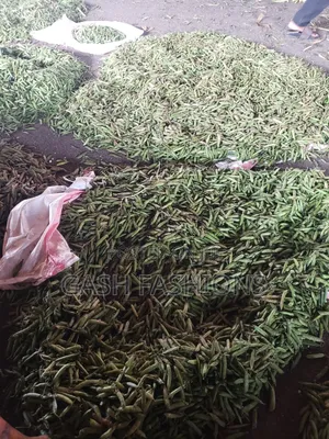 Fresh Cow Peas