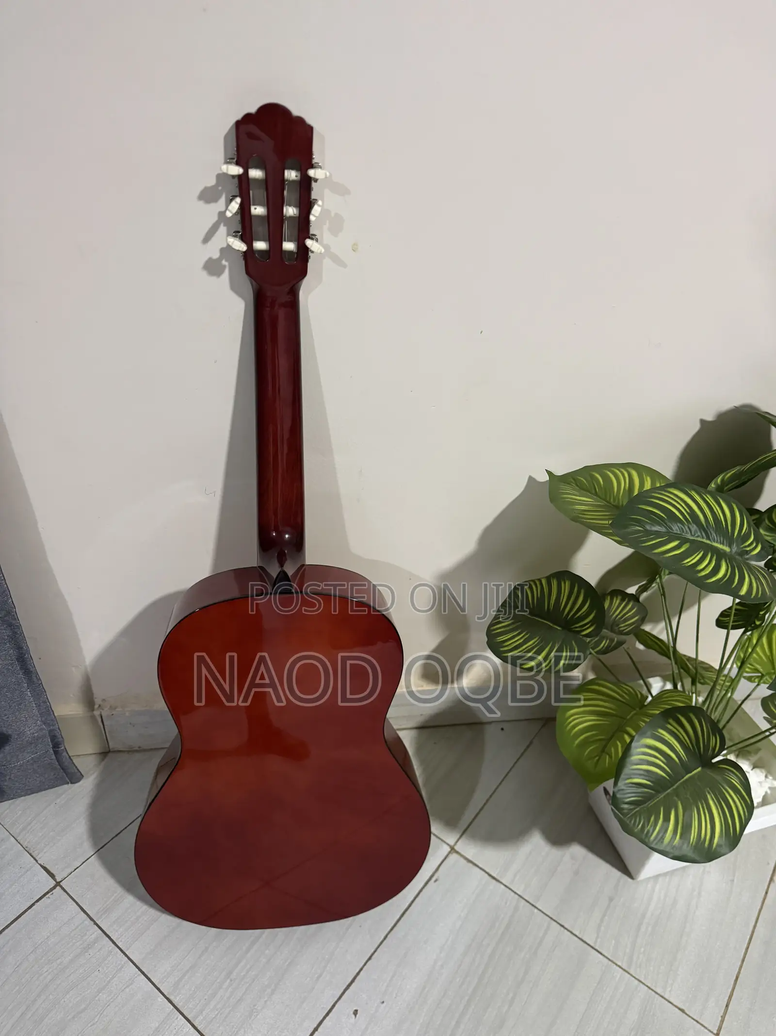 Classical Guitar