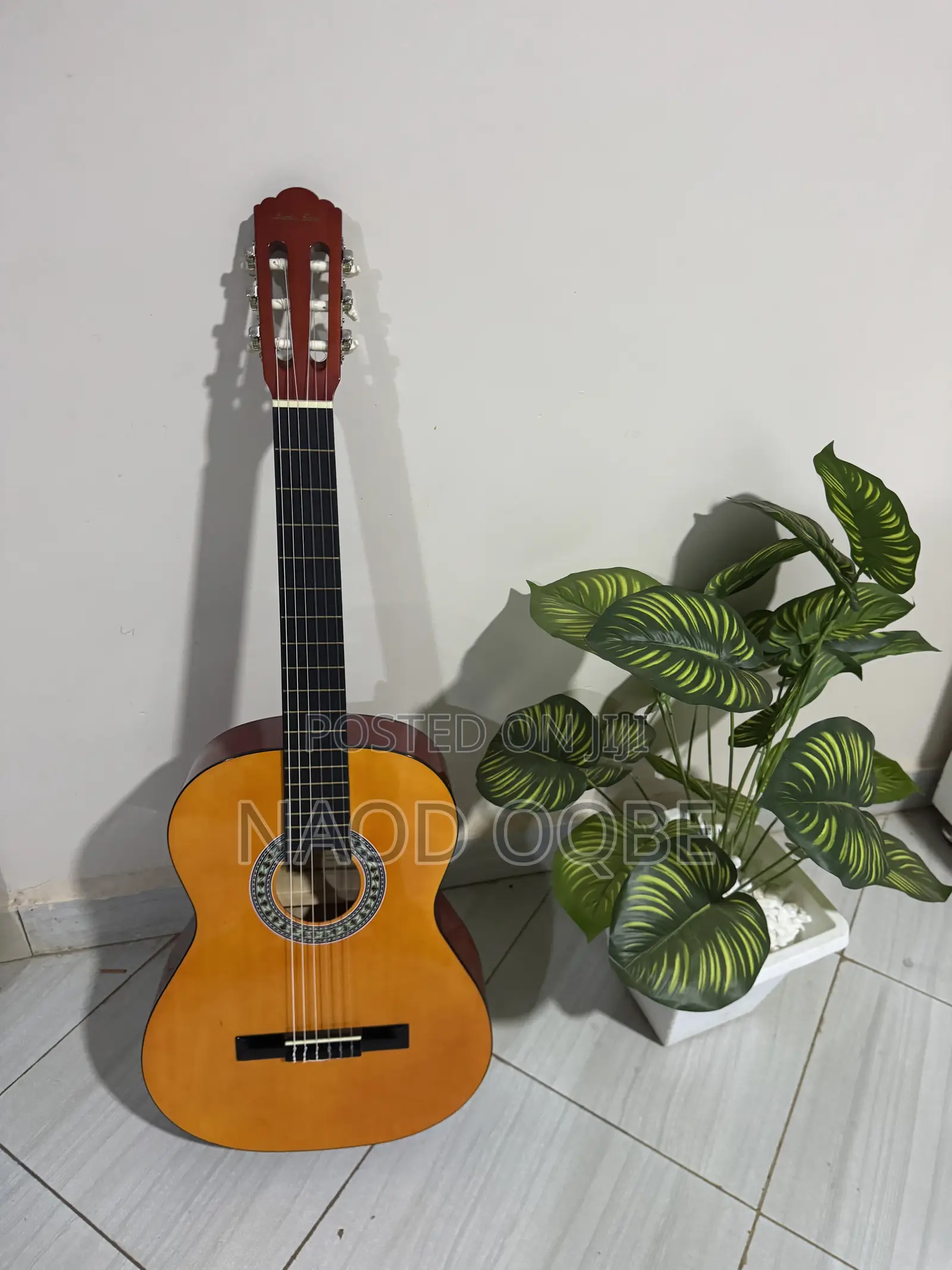 Classical Guitar