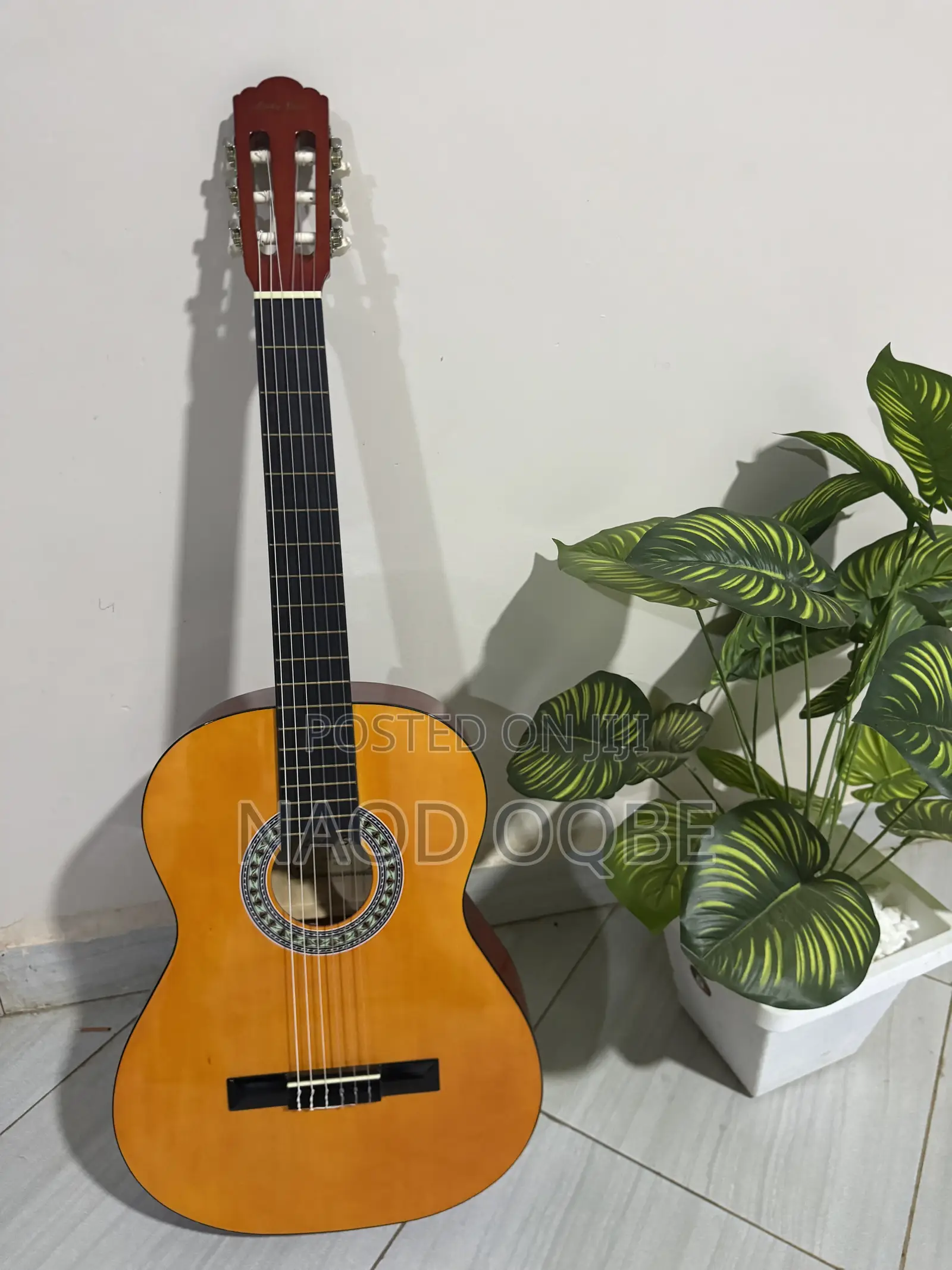 Classical Guitar