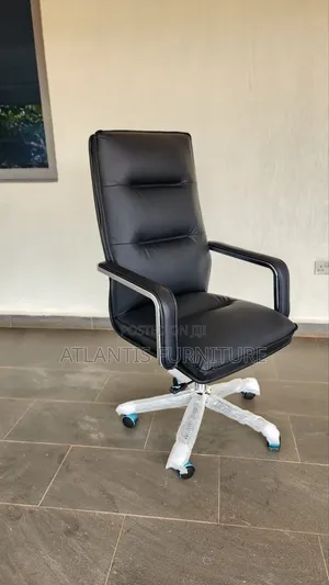 Executive Black and Stainless Steel Arms Chair