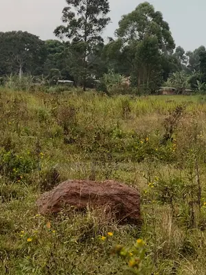 Farmland for Sale – Bugoma Kitwe, Bugerere