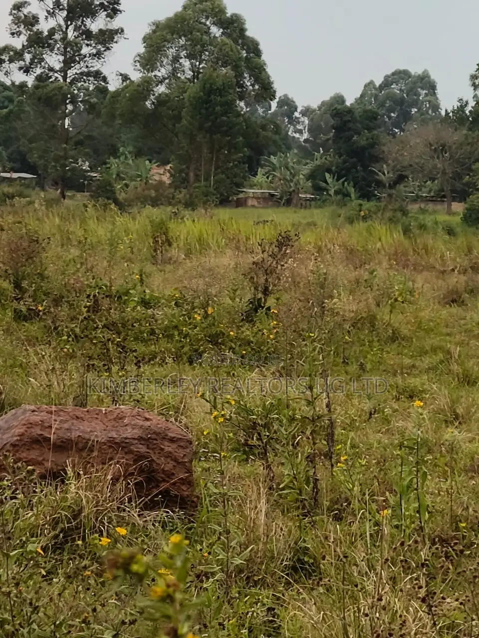Farmland for Sale – Bugoma Kitwe, Bugerere