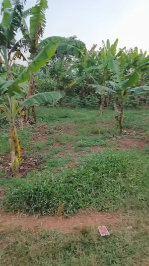 Land for Sale – Entebbe Kawuku