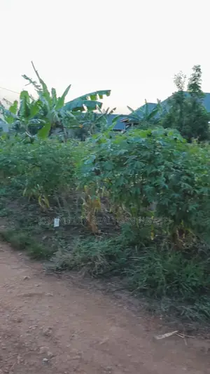 Land for Sale – Gayaza Kabubu Residential Estate
