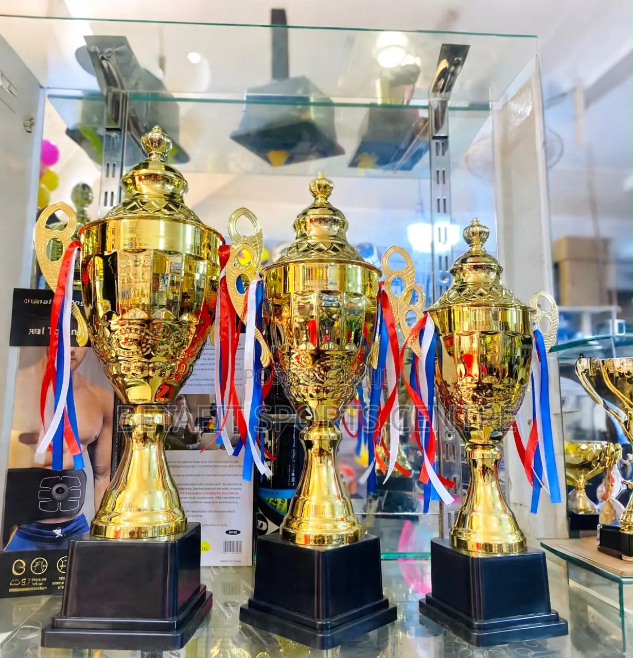 Gold Champion (Trophy Cup)