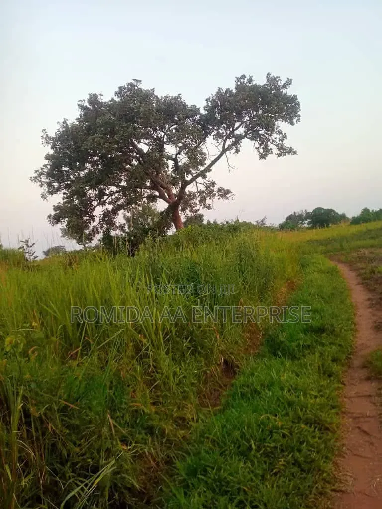Fertile Farmland for Sale in Lamwo