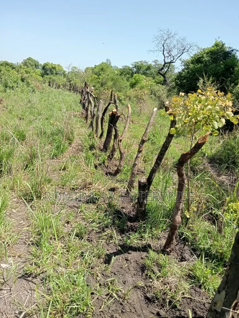 Fertile Farmland for Sale in Lamwo