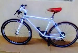 Mountain Bike/