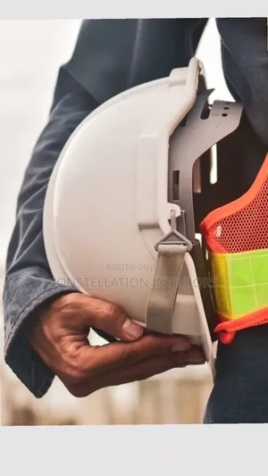 Moblie Handyman Services