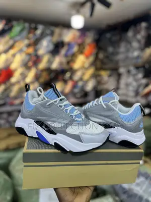Dior B22 Grey Light Blue Designer Sneakers