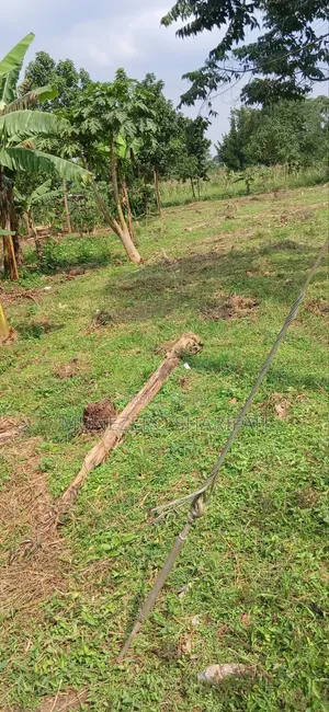 Land for Sell