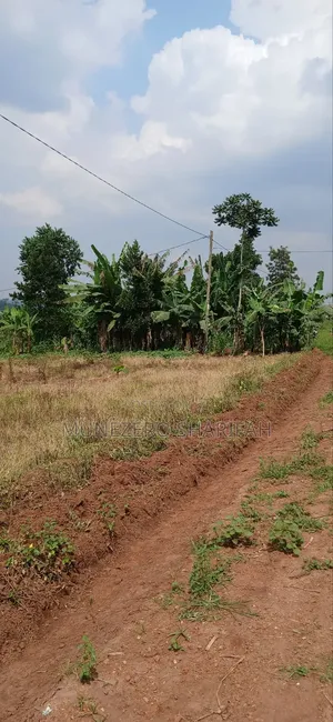 Land for Sell