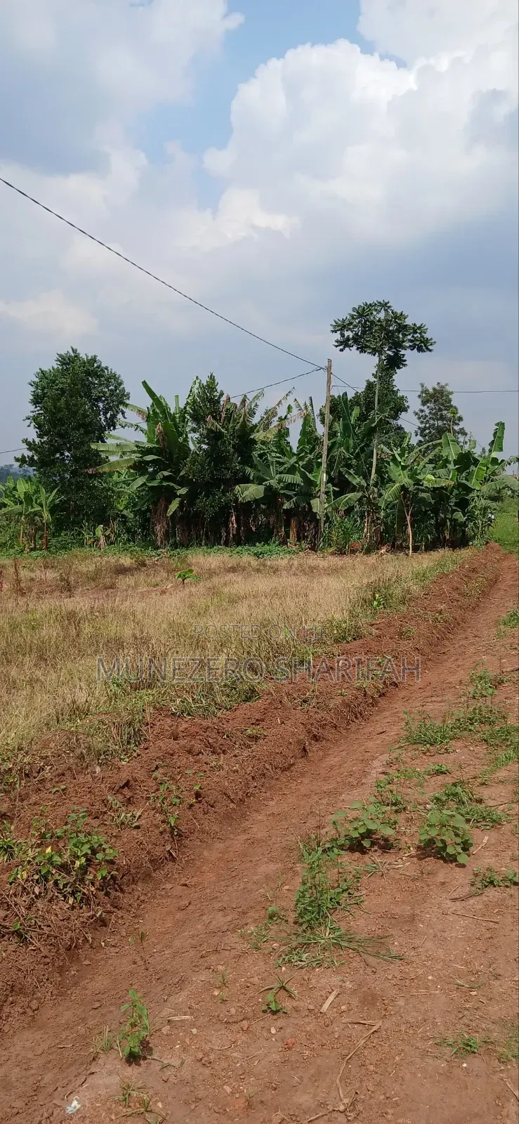 Land for Sell