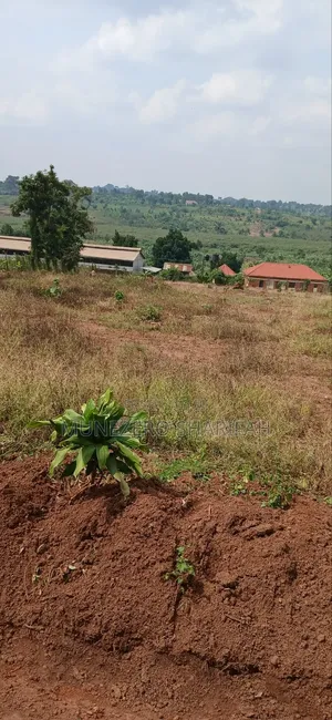 Land for Sell