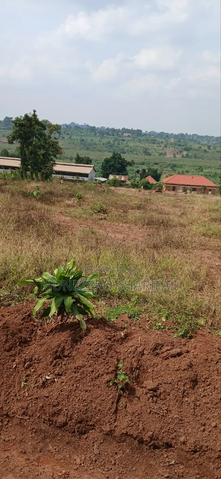 Land for Sell