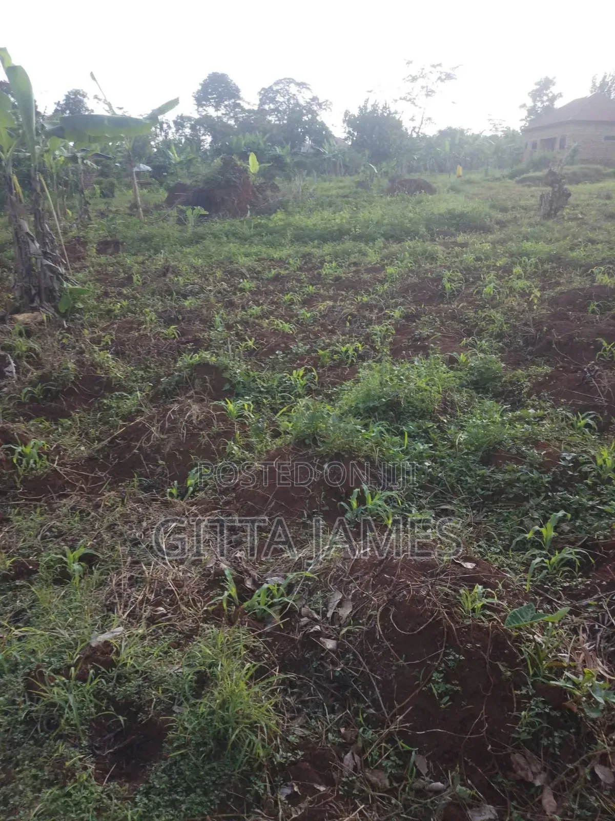 30 Acres for Sale by Owner in Nkokonjeru 1km Off Jinja Express Highway