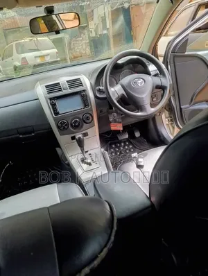 Toyota Corolla Fielder 2009 Silver