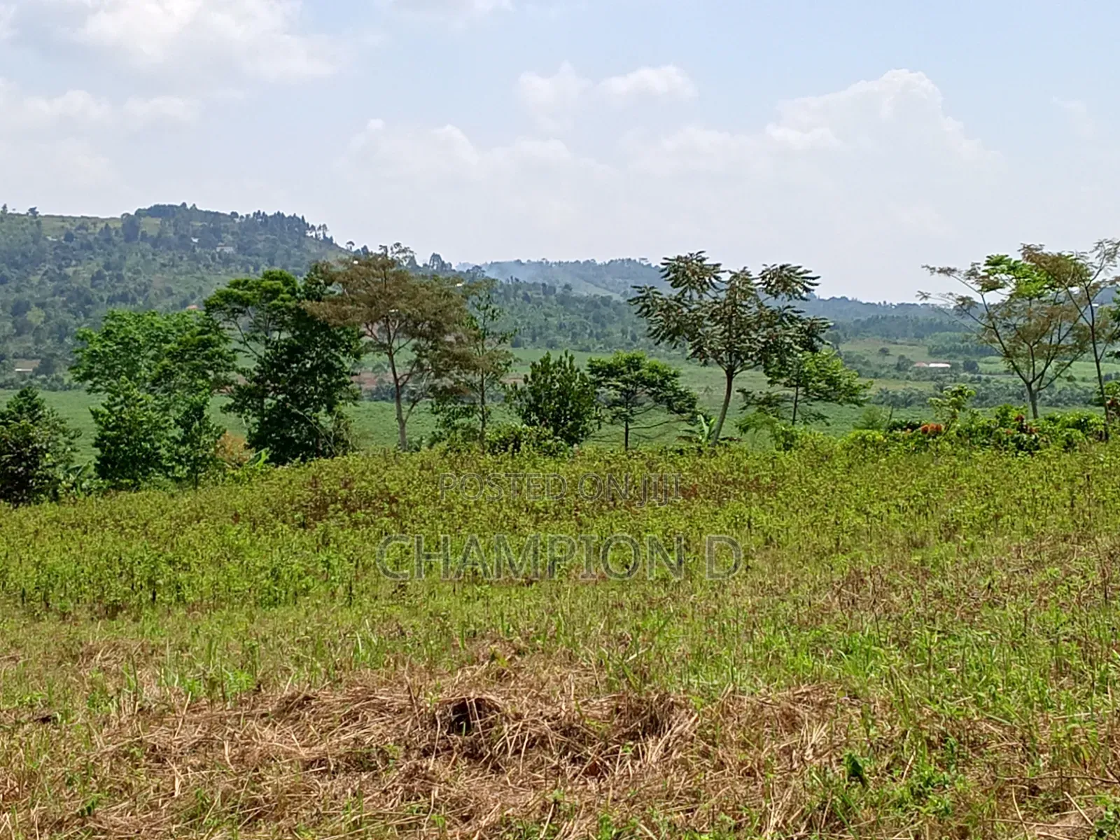 Nkonkojeru Estates