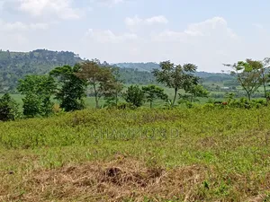 Nkonkojeru Estates