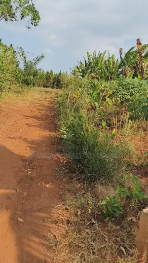 Land for Sale – Gayaza–kalagyi Road, Namalili