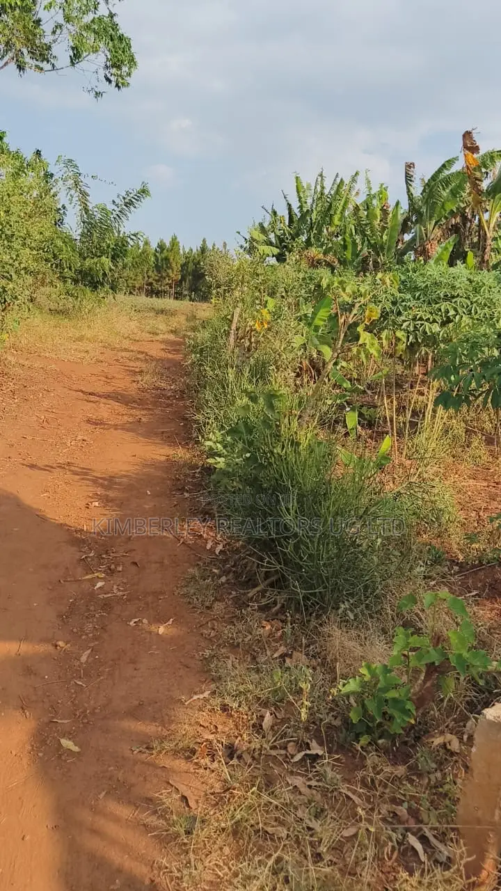 Land for Sale – Gayaza–kalagyi Road, Namalili