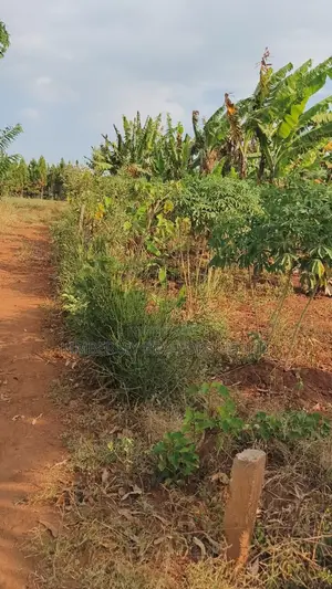 Land for Sale – Gayaza–kalagyi Road, Namalili