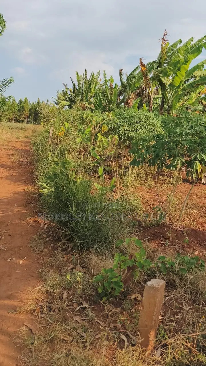 Land for Sale – Gayaza–kalagyi Road, Namalili