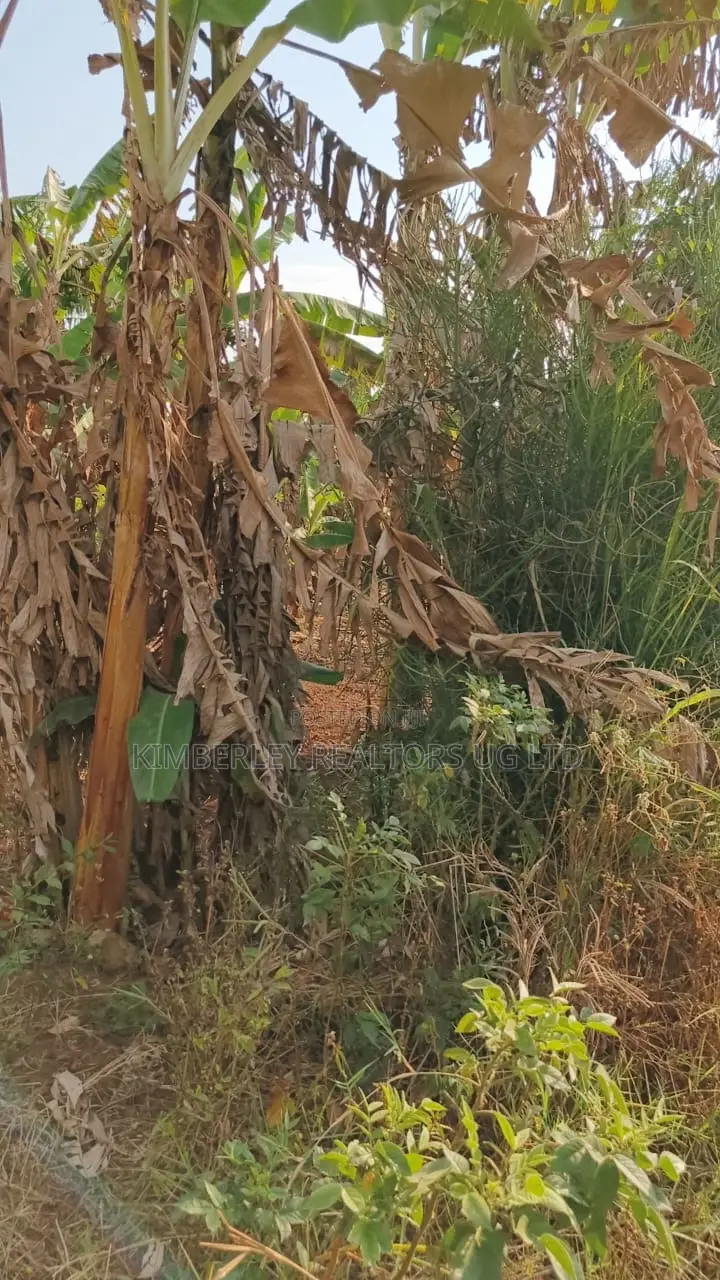 Land for Sale – Gayaza–kalagyi Road, Namalili