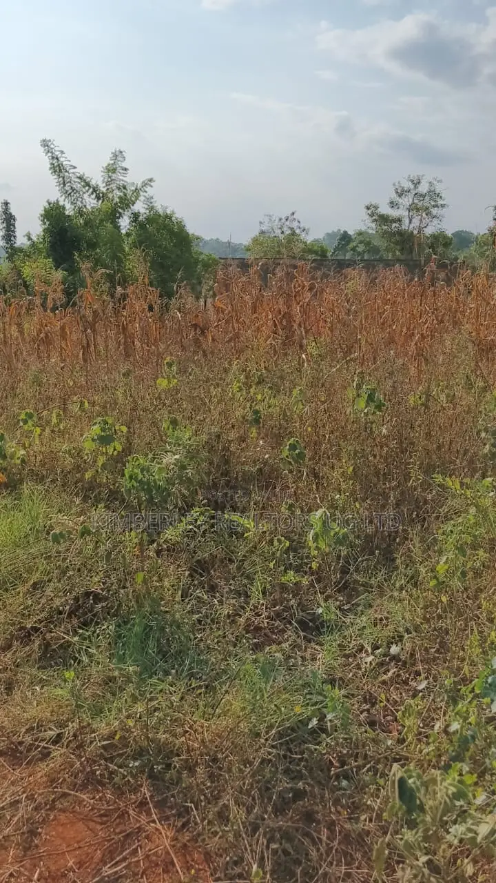 Land for Sale – Gayaza–kalagyi Road, Namalili